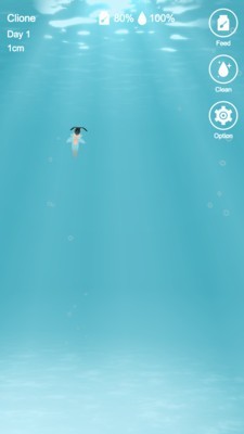 海天使图2