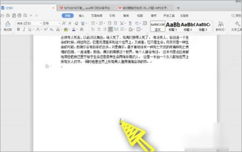 wpsoffice企业版图2