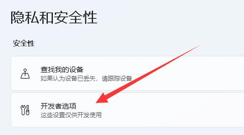 win11如何打开开发者模式启动方法教程