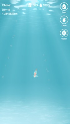 海天使图1