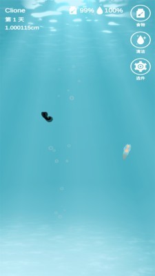 海天使图3