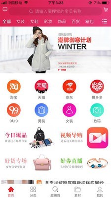 猪小姐图2