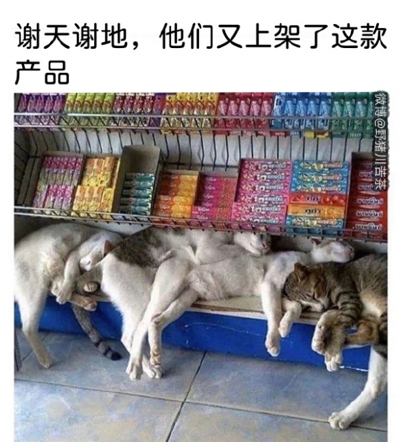 这个产品可以摸摸看吗囧图你刚刚说了‘原’对吧