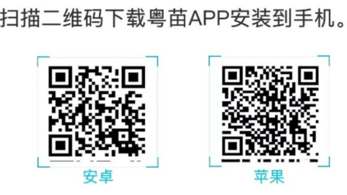 粤苗app怎么查看接种档案信息粤苗app查看接种档案信息教程