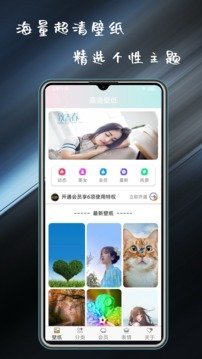 壁纸主题大全图3