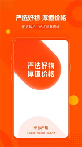 小当严选图3