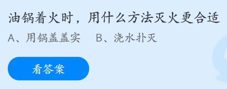 小鸡庄园今天答案最新