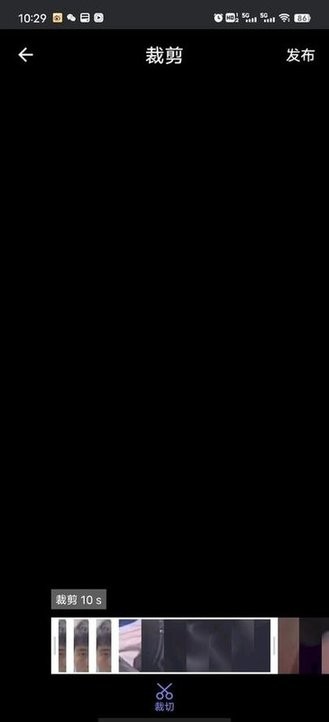 小鸟视频剪辑图2