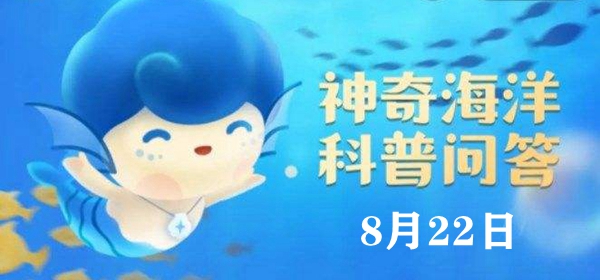 神奇海洋今日答案8.22：听说水母身上95%以上都是水，这是真的吗