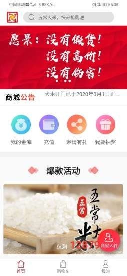 大米开门图1