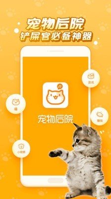 逗猫咪图2