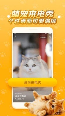 逗猫咪图3