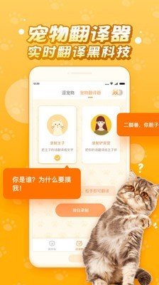 逗猫咪图1