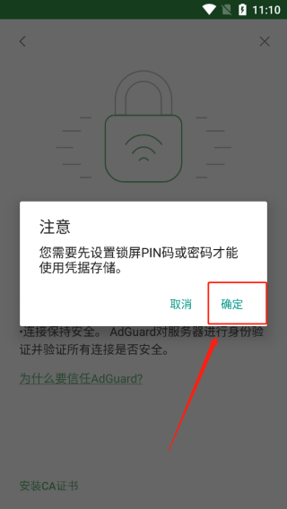 adguard高级版截图2