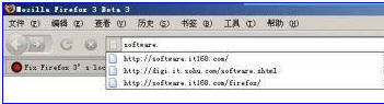 调整Firefox3网址自动完成的显示