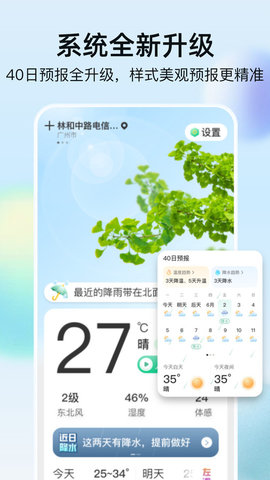 竹雨天气截图4