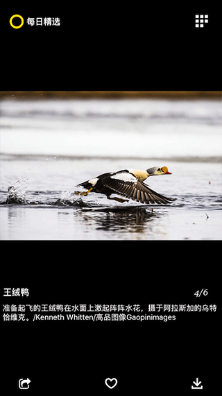 每日精选最新免费版图2