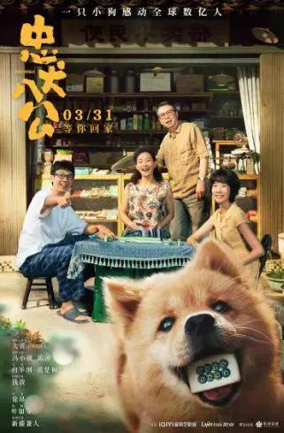 电影忠犬八公什么时候上映电影忠犬八公定档