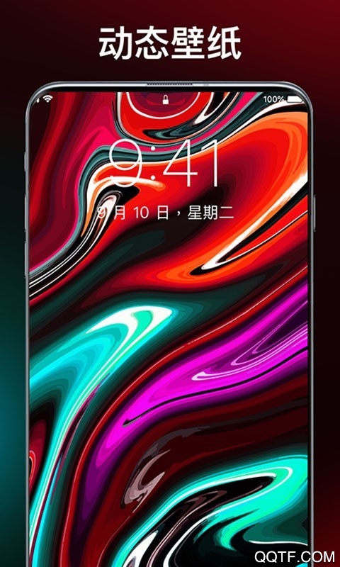 灵猫壁纸大全图3