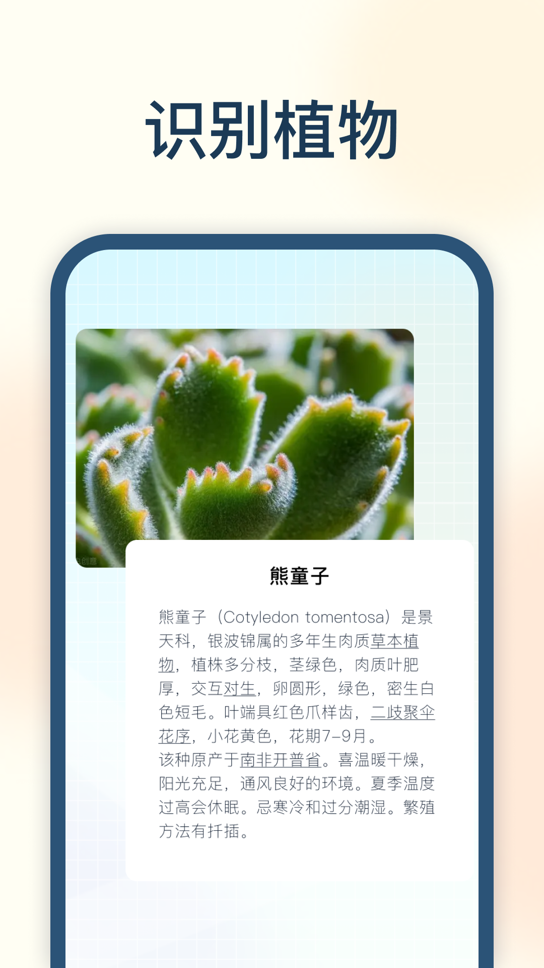 试卷星图2