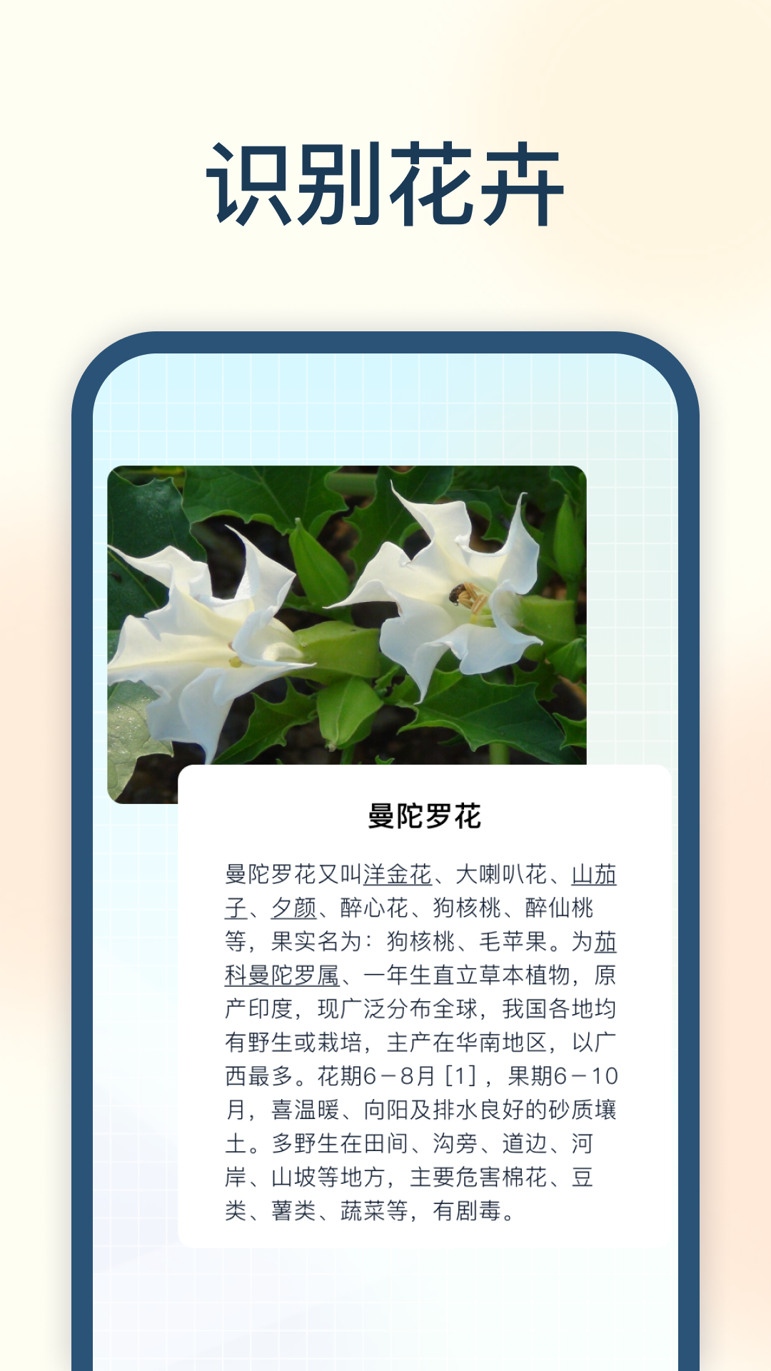 试卷星图1
