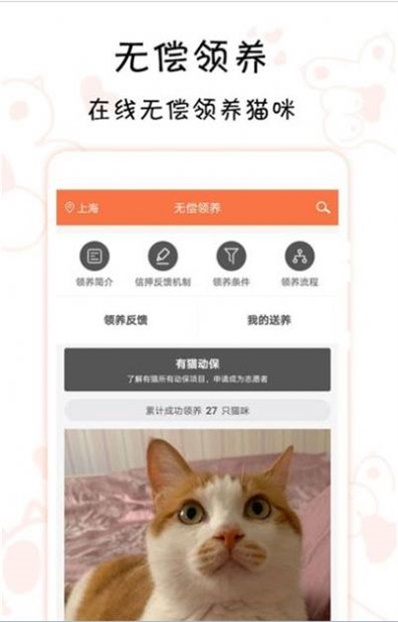 领喵领养猫咪图3