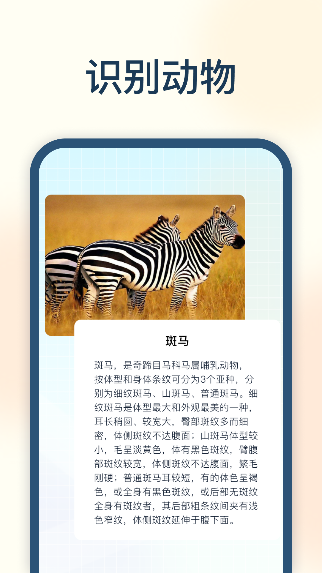试卷星图3
