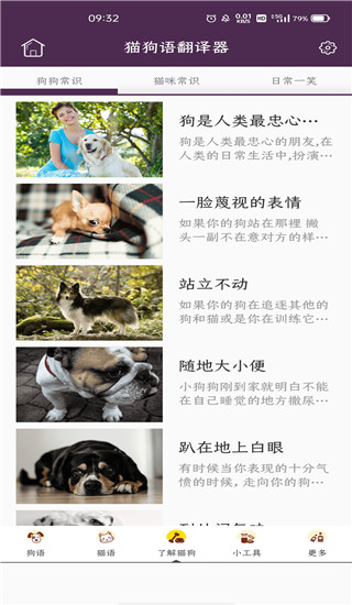 猫狗语翻译器安卓版图4