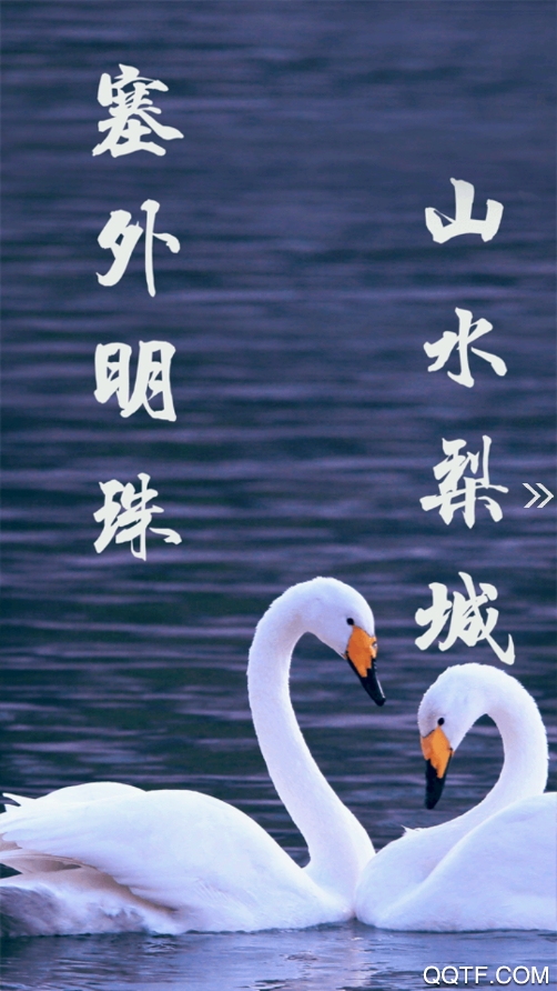 库尔勒好地方app图4