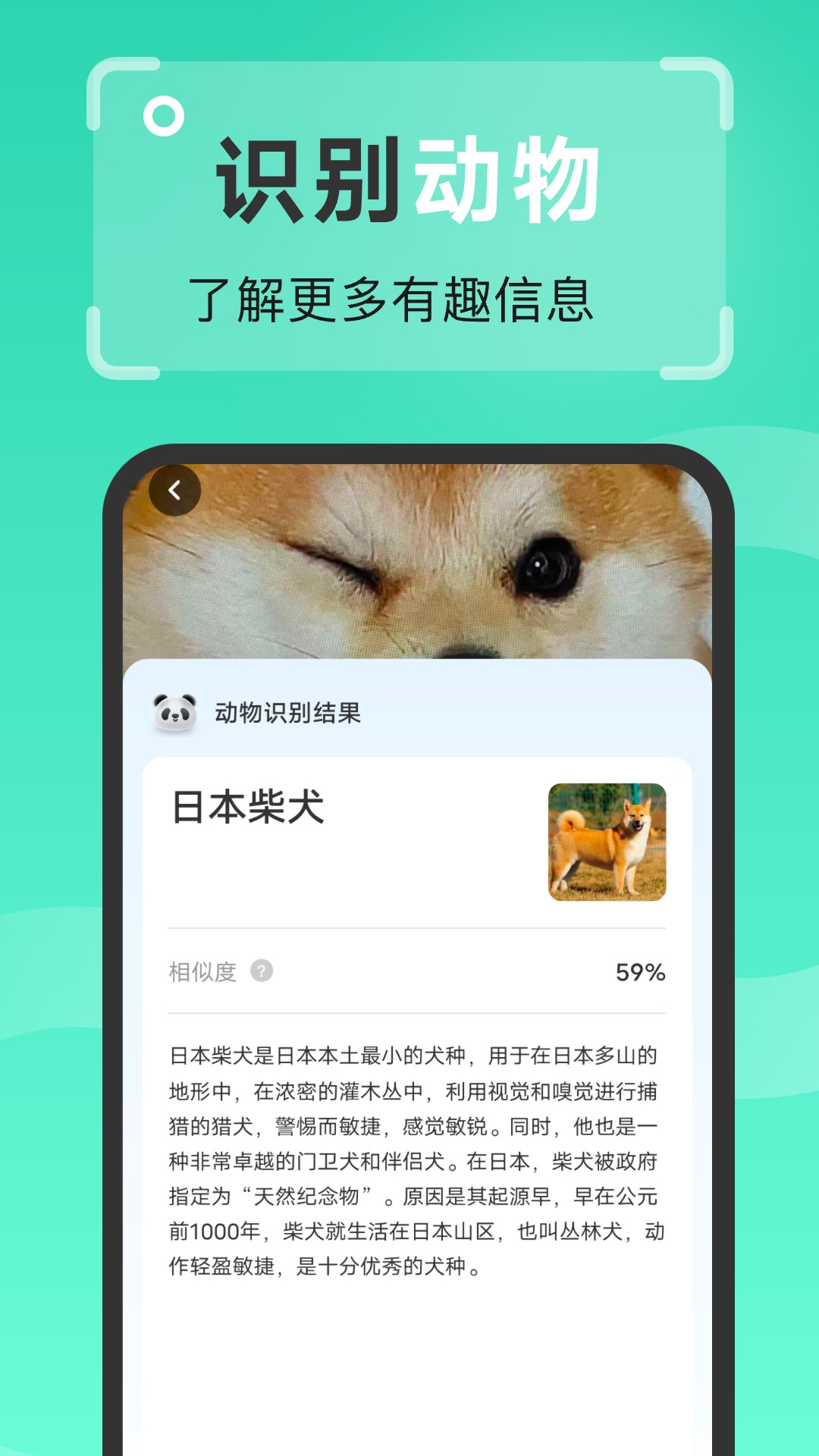 强效扫描王图2