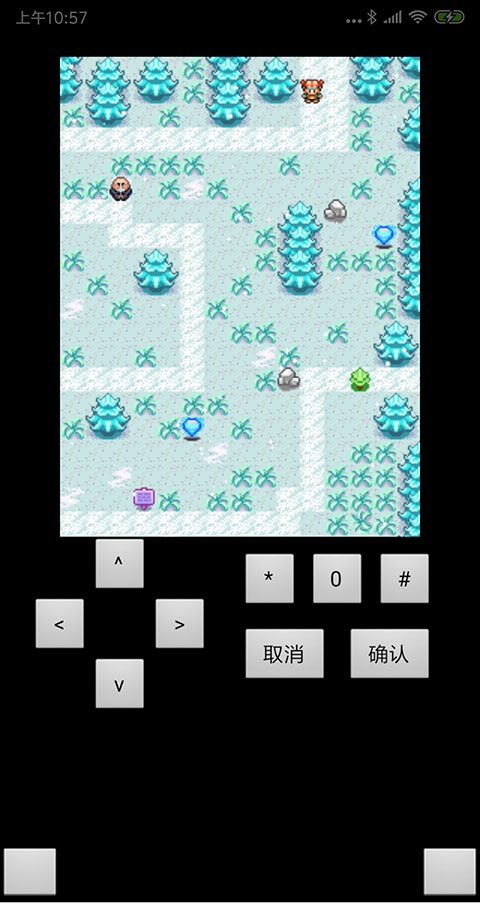 宠物王国彩虹无限金币版图4