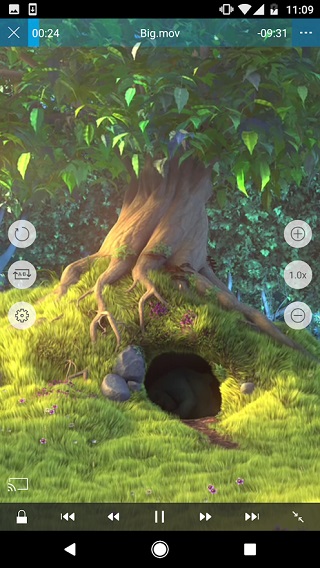 nplayer安卓版图1