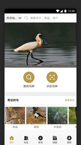 图1
