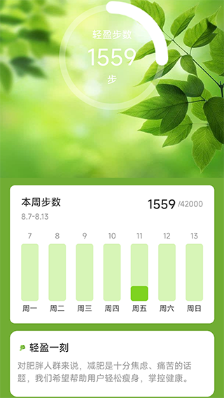轻盈计步图2