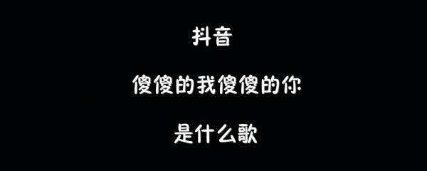 抖音傻傻的我傻傻的你歌曲介绍