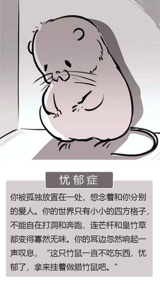 竹鼠：活下去