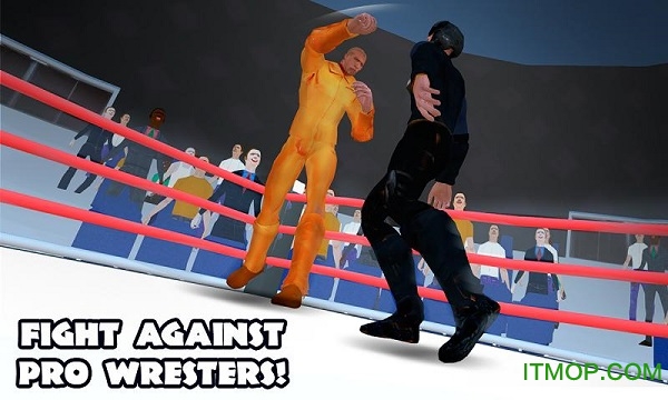 摔跤革命3dWrestlingRevolution3D截图1