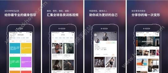 2016年最受欢迎的健身教练APP前三甲健康猫首屈一指