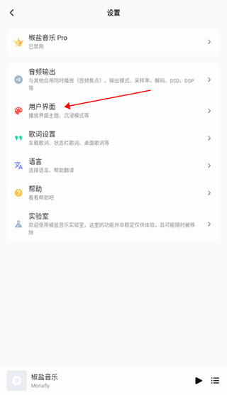 椒盐音乐app(salt player)