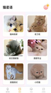 猫语狗语翻译神器手机版图3
