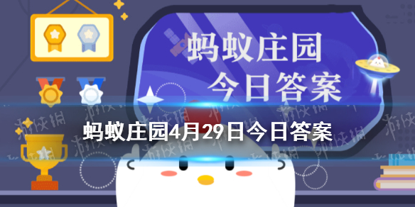 排宿便等于排毒，说法靠谱吗蚂蚁庄园4月29日答案最新