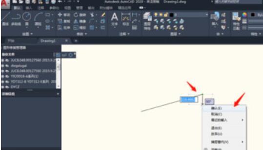 AutoCAD2020制作直线的操作过程方法