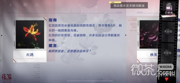 无期迷途刹雨活动怎么玩攻略