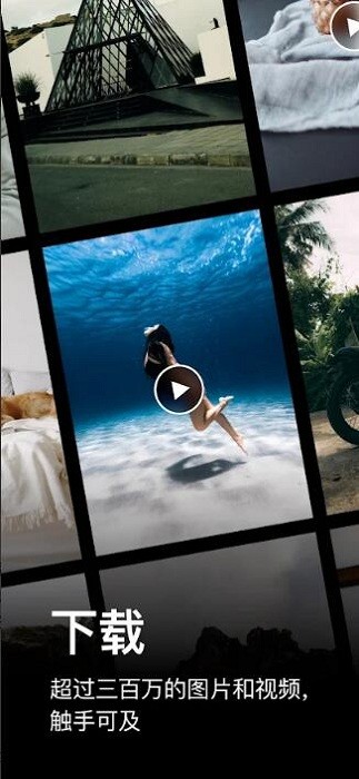 pexels素材网图3