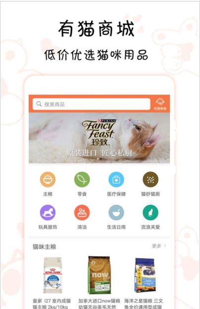 领喵领养猫咪图4