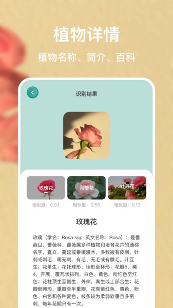 识别花图7