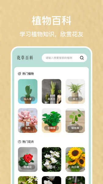 识别花图3