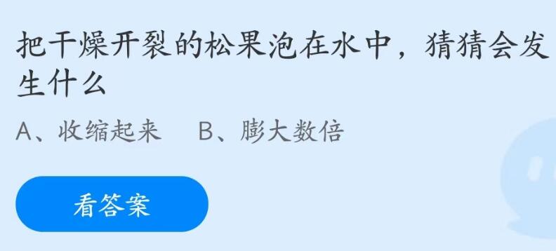 小鸡庄园6.3今天答案最新