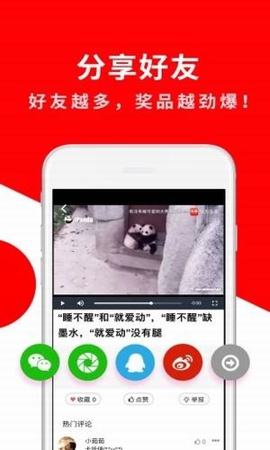 闲看领红包正版截图1