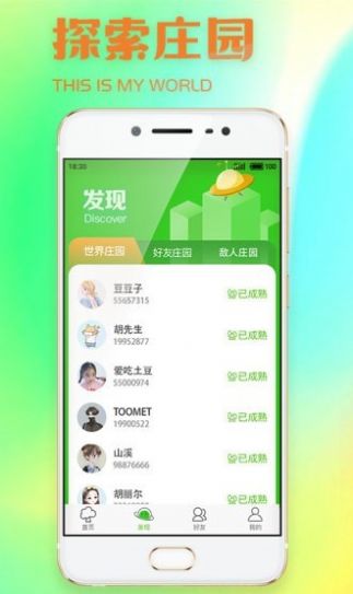 全民种豆图2